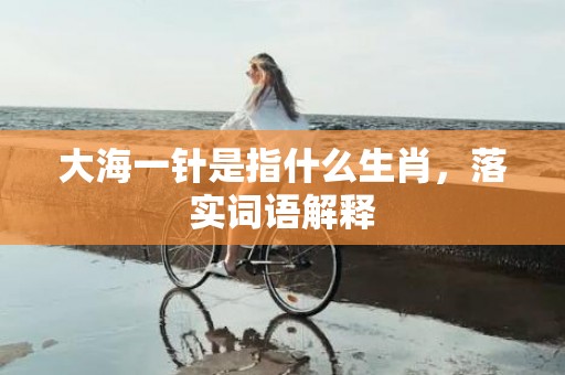 大海一针是指什么生肖，落实词语解释
