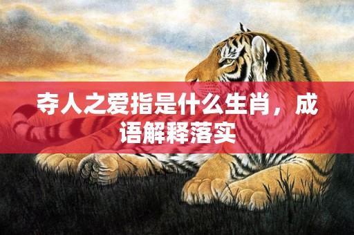 夺人之爱指是什么生肖，成语解释落实