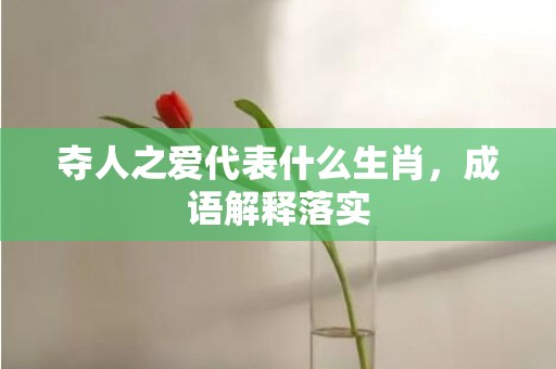 夺人之爱代表什么生肖，成语解释落实