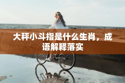 大秤小斗指是什么生肖，成语解释落实