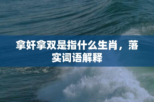 拿奸拿双是指什么生肖，落实词语解释