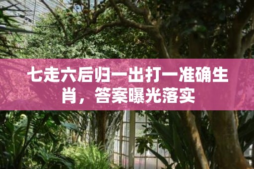 七走六后归一出打一准确生肖，答案曝光落实