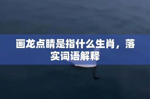 画龙点睛是指什么生肖，落实词语解释