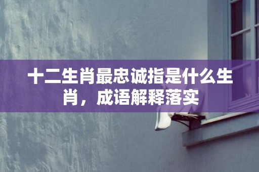 十二生肖最忠诚指是什么生肖，成语解释落实