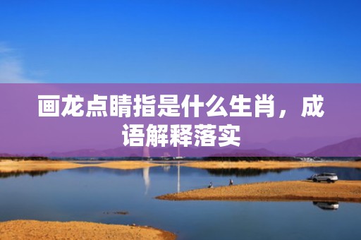 画龙点睛指是什么生肖，成语解释落实