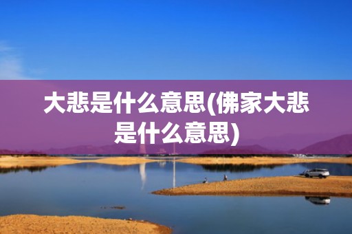 大悲是什么意思(佛家大悲是什么意思)