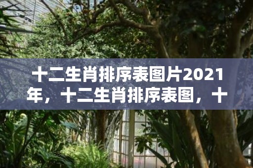 十二生肖排序表图片2021年，十二生肖排序表图，十二生肖的由来