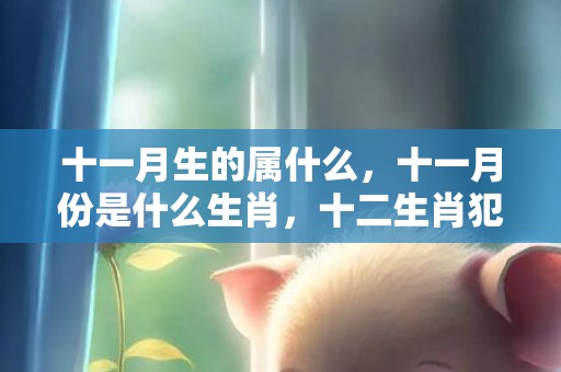 十一月生的属什么，十一月份是什么生肖，十二生肖犯月大全