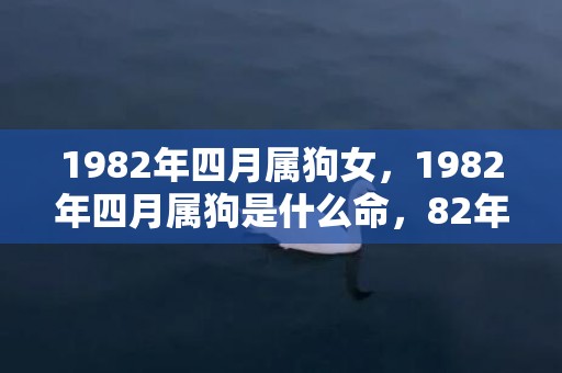 1982年四月属狗女，1982年四月属狗是什么命，82年属狗人什么时候走大运