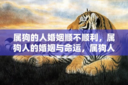 属狗的人婚姻顺不顺利，属狗人的婚姻与命运，属狗人的性格特点