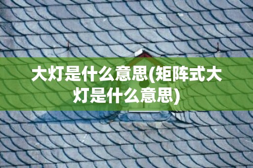 大灯是什么意思(矩阵式大灯是什么意思)