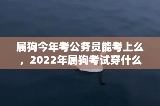 属狗今年考公务员能考上么，2022年属狗考试穿什么颜色，一生旺属狗的颜色