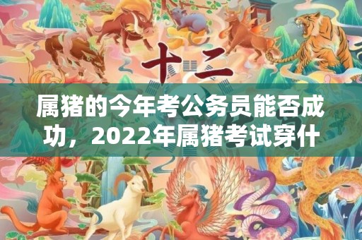 属猪的今年考公务员能否成功，2022年属猪考试穿什么颜色，2022年属猪禁忌物品