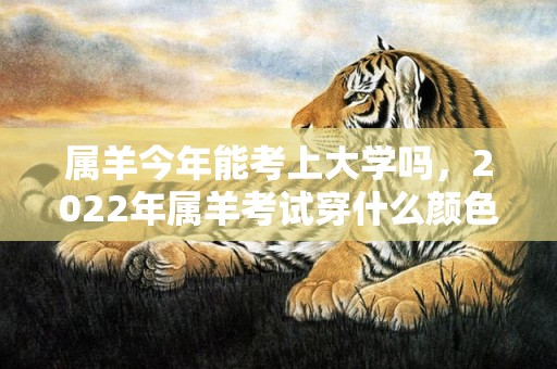 属羊今年能考上大学吗，2022年属羊考试穿什么颜色，属羊不能穿什么颜色
