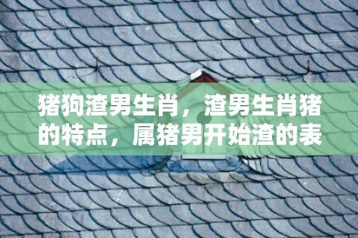 猪狗渣男生肖，渣男生肖猪的特点，属猪男开始渣的表现