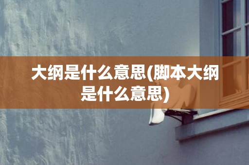 大纲是什么意思(脚本大纲是什么意思)
