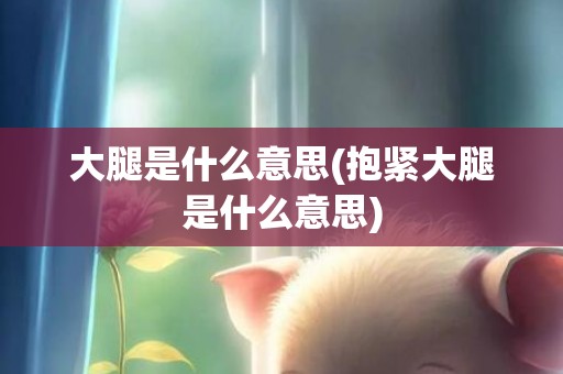 大腿是什么意思(抱紧大腿是什么意思)