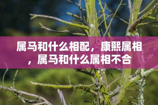 属马和什么相配，康熙属相，属马和什么属相不合
