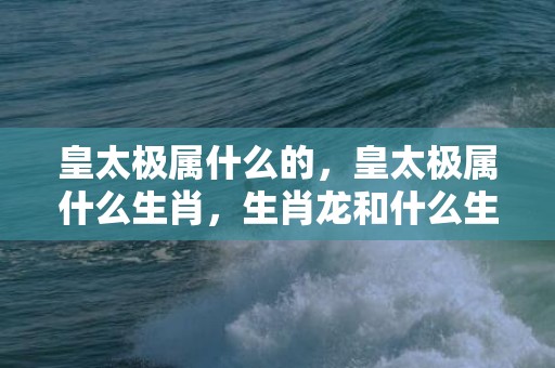 皇太极属什么的，皇太极属什么生肖，生肖龙和什么生肖相冲