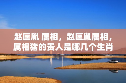 赵匡胤 属相，赵匡胤属相，属相猪的贵人是哪几个生肖