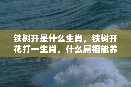 铁树开是什么生肖，铁树开花打一生肖，什么属相能养铁树