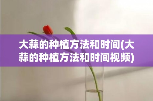 大蒜的种植方法和时间(大蒜的种植方法和时间视频)