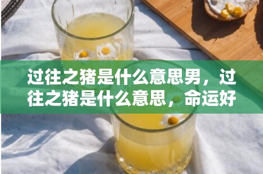 过往之猪是什么意思男，过往之猪是什么意思，命运好不好