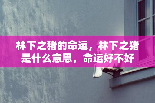 林下之猪的命运，林下之猪是什么意思，命运好不好