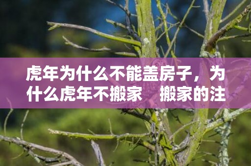 虎年为什么不能盖房子，为什么虎年不搬家　搬家的注意事项