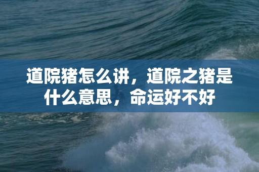 道院猪怎么讲，道院之猪是什么意思，命运好不好