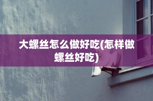 大螺丝怎么做好吃(怎样做螺丝好吃)