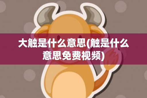 大触是什么意思(触是什么意思免费视频)