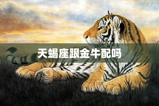 天蝎座跟金牛配吗