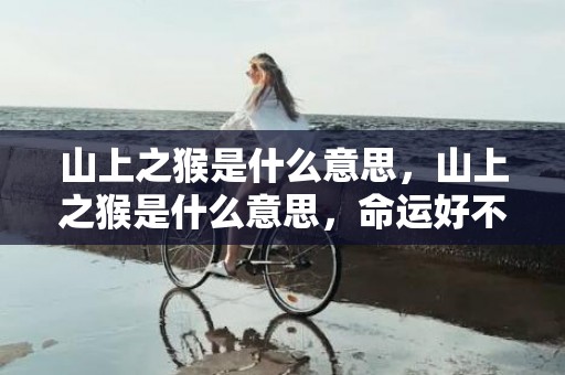 山上之猴是什么意思，山上之猴是什么意思，命运好不好