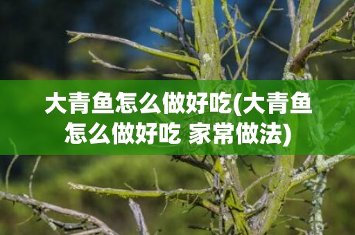 大青鱼怎么做好吃(大青鱼怎么做好吃 家常做法)