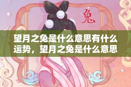 望月之兔是什么意思有什么运势，望月之兔是什么意思，命运好不好