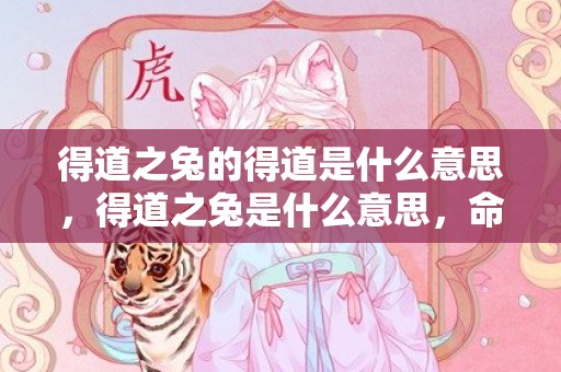 得道之兔的得道是什么意思，得道之兔是什么意思，命运好不好