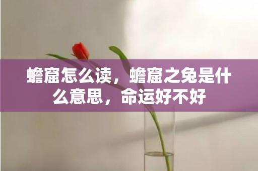 蟾窟怎么读，蟾窟之兔是什么意思，命运好不好