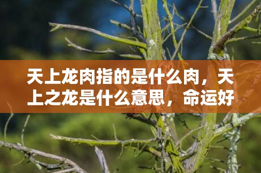 天上龙肉指的是什么肉，天上之龙是什么意思，命运好不好