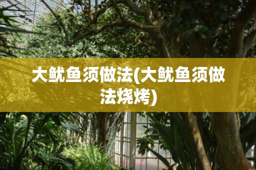 大鱿鱼须做法(大鱿鱼须做法烧烤)