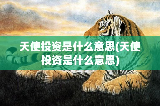 天使投资是什么意思(天使投资是什么意思)