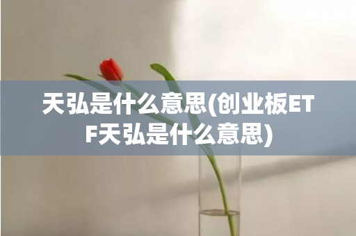 天弘是什么意思(创业板ETF天弘是什么意思)