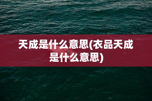 天成是什么意思(衣品天成是什么意思)