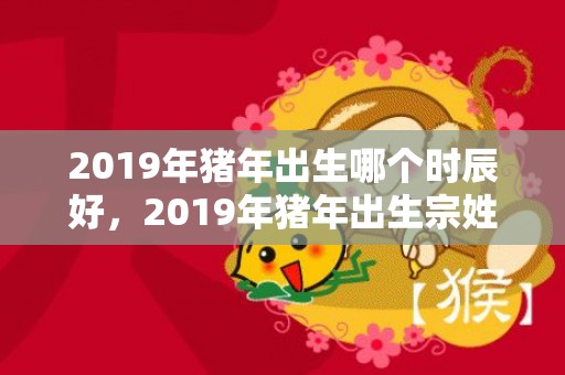 2019年猪年出生哪个时辰好，2019年猪年出生宗姓女孩怎么样起名字，宗姓女孩好名推荐