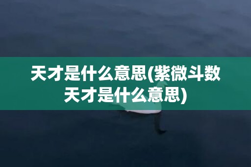 天才是什么意思(紫微斗数天才是什么意思)