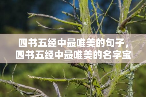 四书五经中最唯美的句子，四书五经中最唯美的名字宝宝起名