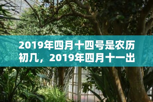 2019年四月十四号是农历初几，2019年四月十一出生的女孩如何起名字，五行属什么