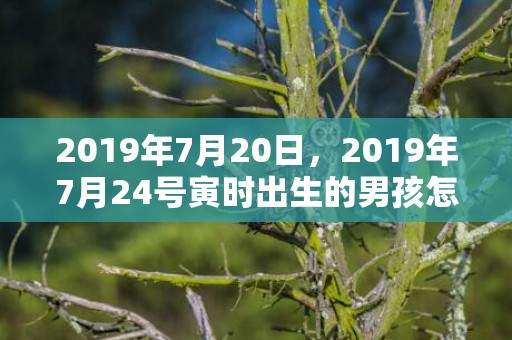 2019年7月20日，2019年7月24号寅时出生的男孩怎么起名字比较好听