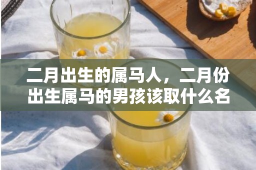 二月出生的属马人，二月份出生属马的男孩该取什么名字