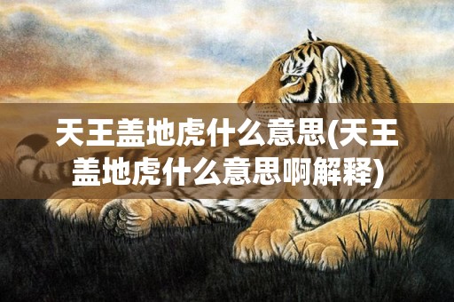 天王盖地虎什么意思(天王盖地虎什么意思啊解释)
